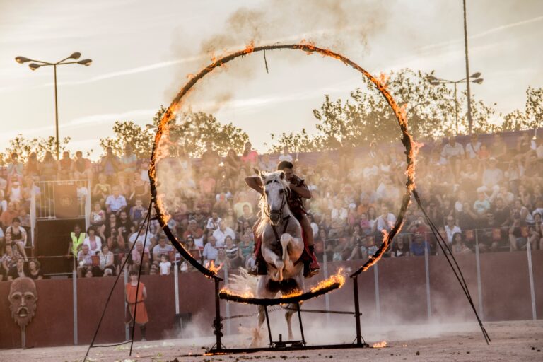 Complutum Renacida: Recreación histórica, campamento, circo y mercados romanos