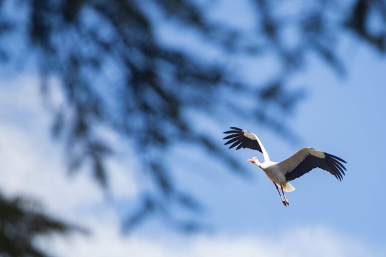 Rutas medioambientales de Alcalá de Henares