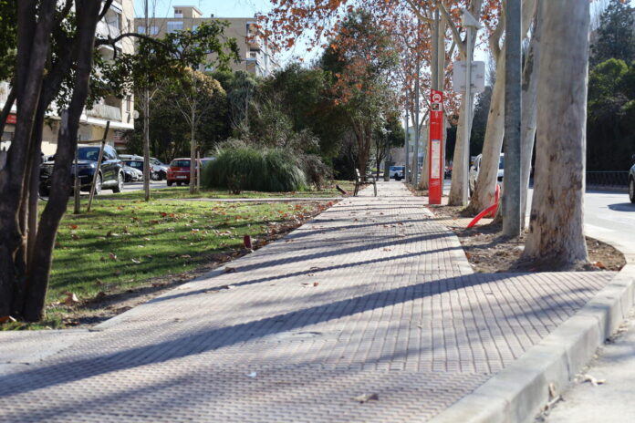 Avenida de Daganzo