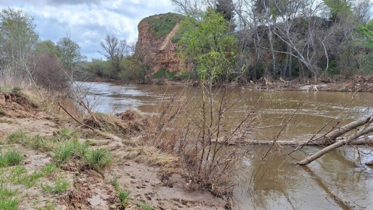 vertidos río Henares