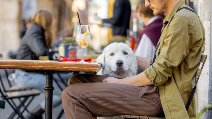 Planes pet friendly en Alcalá de Henares